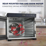 6 Tray Premium Stainless Steel Electric Food Dehydrator Machine 600W for Drying Beef Jerky, Fruits, Vegetables and Nuts