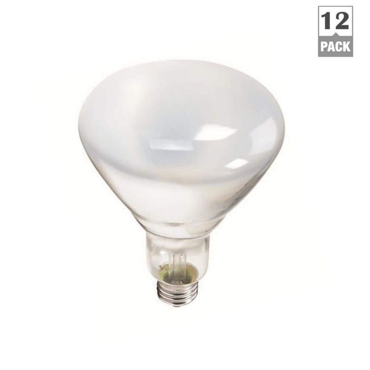 Philips 65-Watt BR40 Incandescent Flood Light Bulb Soft White (2700K) (12-Pack)