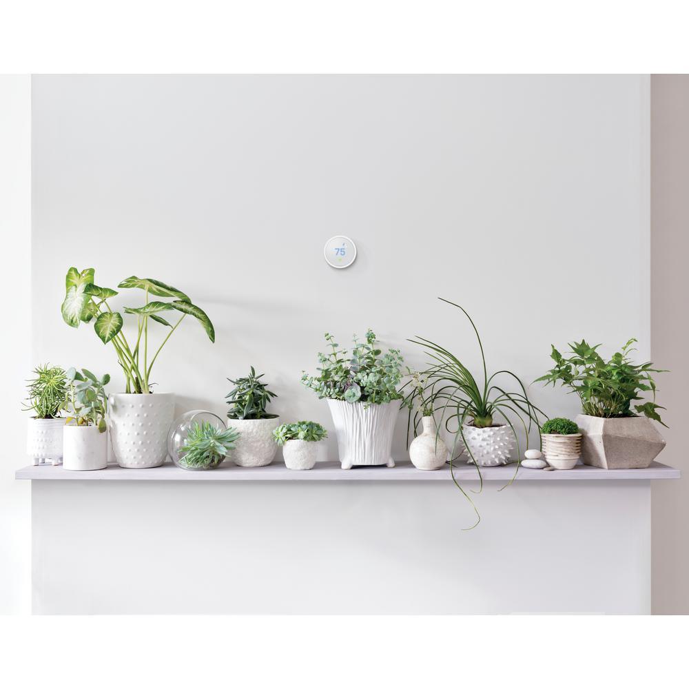 Nest 10-Day Digital Programmable Thermostat E with Nest Temperature Sensor (2-Pack) - Super Arbor