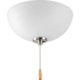 Bravo Collection 2-Light Unfinished Ceiling Fan Light Kit