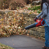 Toro PowerJet F700 140 MPH 725 CFM 12 Amp Electric Handheld Leaf Blower - Super Arbor