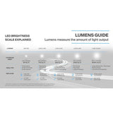 High-Performance 65-Watt Fluorescent Area Light and Flood Light, 2800 Lumens, Dusk to Dawn Outdoor Light