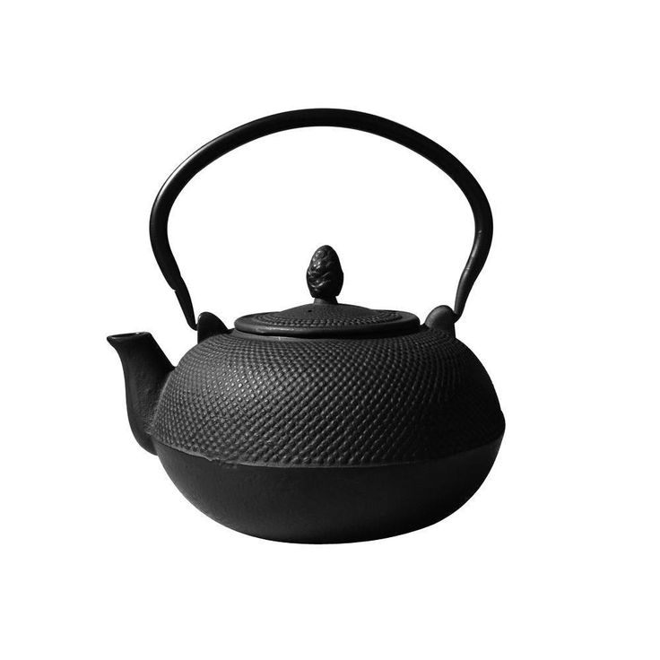 3 l Hakone Matte Black Cast Iron Teapot/Wood Stove Humidifier