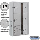 Maximum Height Surface Mounted 4C Horizontal Mailbox with 6 Doors and 2 Parcel Lockers in Aluminum with USPS Access