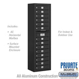 Maximum Height Surface Mounted 4C Horizontal Mailbox with 14 Doors in Black with Private Access
