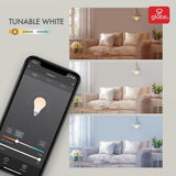Wi-Fi Smart Starter Kit, No Hub Required, Voice Activated, 1x Wi-Fi Smart Plug, 2x Wi-Fi Smart Tunable LED Bulbs - Super Arbor