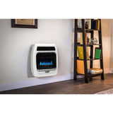 10,000 BTU Blue Flame Vent Free Natural Gas Thermostatic Wall Heater - Super Arbor