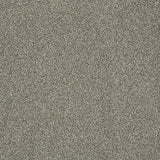 STAINMASTER PetProtect Baxter II Bentley Textured Carpet (Indoor)