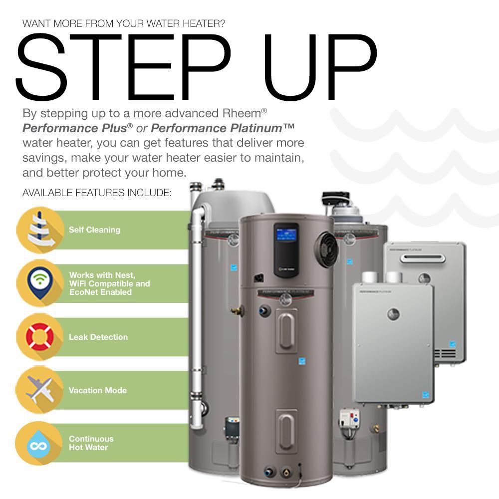 Performance Manufactured Housing 30 Gal. Tall 6 Year 30,000 BTU Convertible Natural Gas/LP Direct Vent Tank Water Heater - Super Arbor