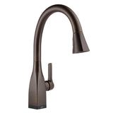 Mateo Single-Handle Pull-Down Sprayer Kitchen Faucet with ShieldSpray Technology in Arctic Stainless - Super Arbor