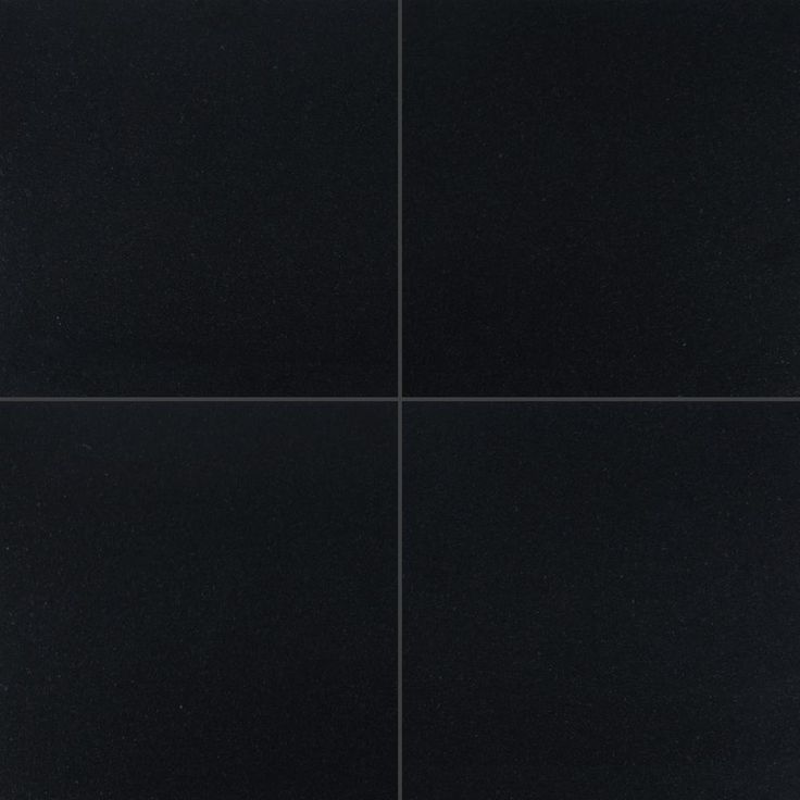 MSI Absolute Black 12 in. x 12 in. Polished Granite Floor and Wall Tile (10 sq. ft. / case)