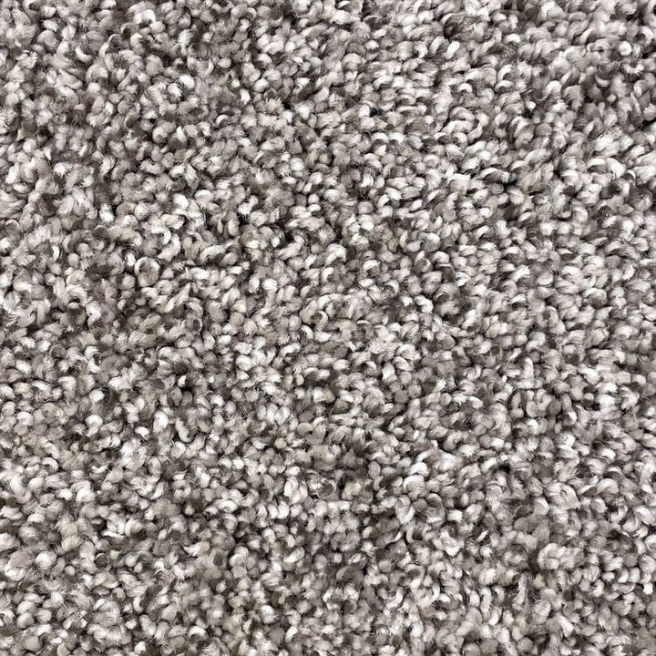 STAINMASTER Essentials Notorious gaucho Gaucho Textured Carpet (Indoor)