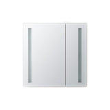 Royale Basic 30 in. W x 30 in. H Recessed or Surface Mount Medicine Cabinet with Bi-View Door, LED Lighting with Dimmer