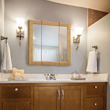 Claremont 36 in. W x 30 in. H x 4-3/4 in. D Framed Tri-View Bathroom Medicine Cabinet in Honey Oak - Super Arbor