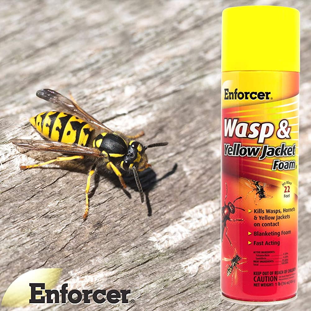 Enforcer Wasp & Yellow Jacket Foam Spray FWH16, 16 oz Can