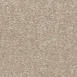 STAINMASTER Essentials Blue Diamonds III 12-ft Dreamy Textured Carpet Sample (Interior)