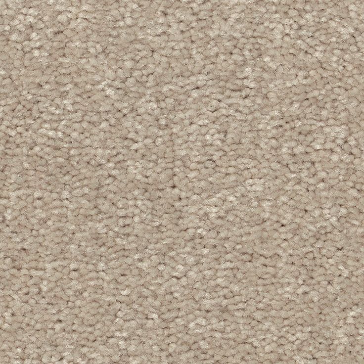 STAINMASTER Essentials Blue Diamonds II 12-ft Dreamy Textured Carpet Sample (Interior)