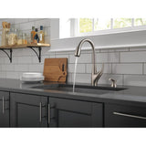 DeLuca Single-Handle Pull-Down Sprayer Kitchen Faucet with ShieldSpray Technology and Soap Dispenser in Stainless - Super Arbor