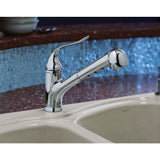 Coralais Single-Handle Pull-Out Sprayer Kitchen Faucet With MasterClean Sprayface In Polished Chrome - Super Arbor