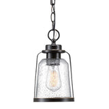 Roth 1-Light Oil Rubbed Bronze Outdoor Indoor Hanging Pendant