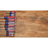 CRAFTSMAN 12-Piece Acetate Handle Screwdriver Set