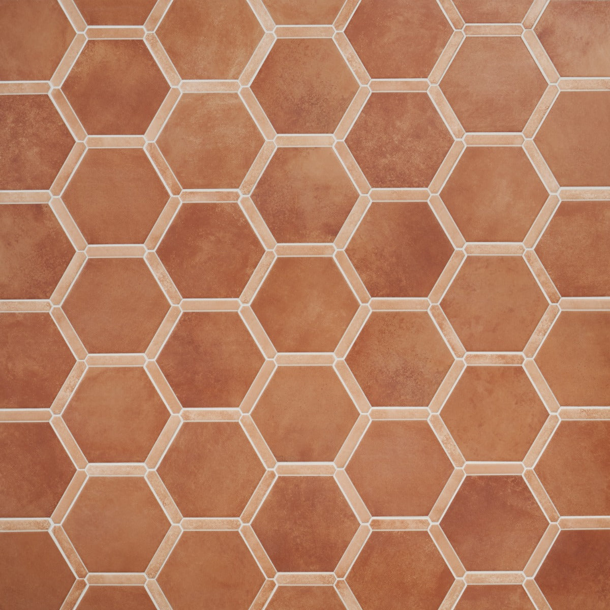 Sagon Terracotta Hexagon Matte Porcelain Tile - 9 Inch