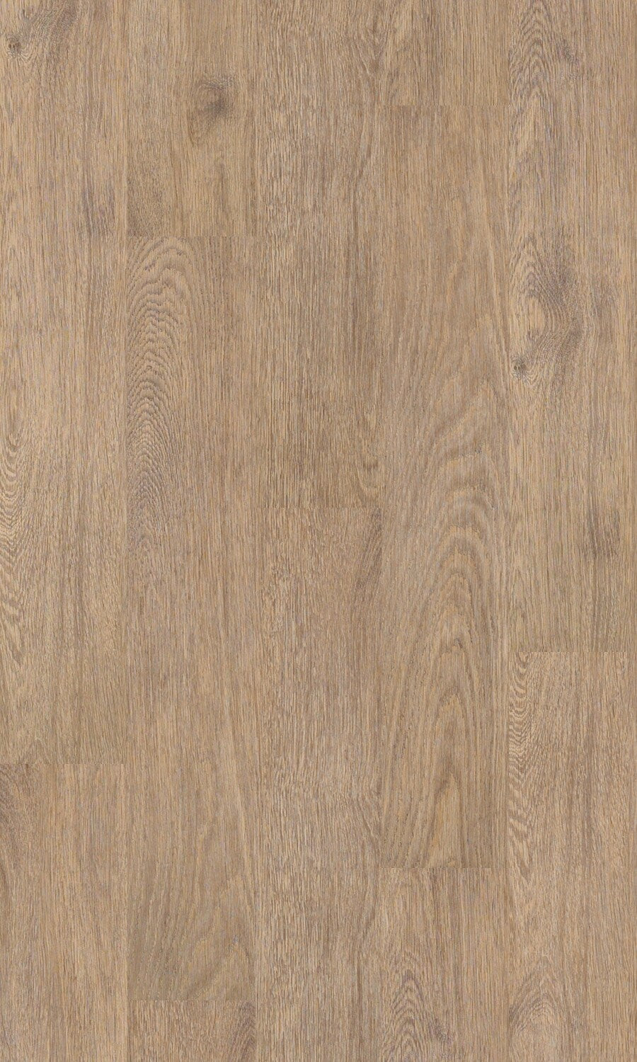 Shaw Divergence Energy 6-in Wide x 2-mm Thick Water Resistant Luxury Vinyl Plank Flooring (53.48-sq ft)