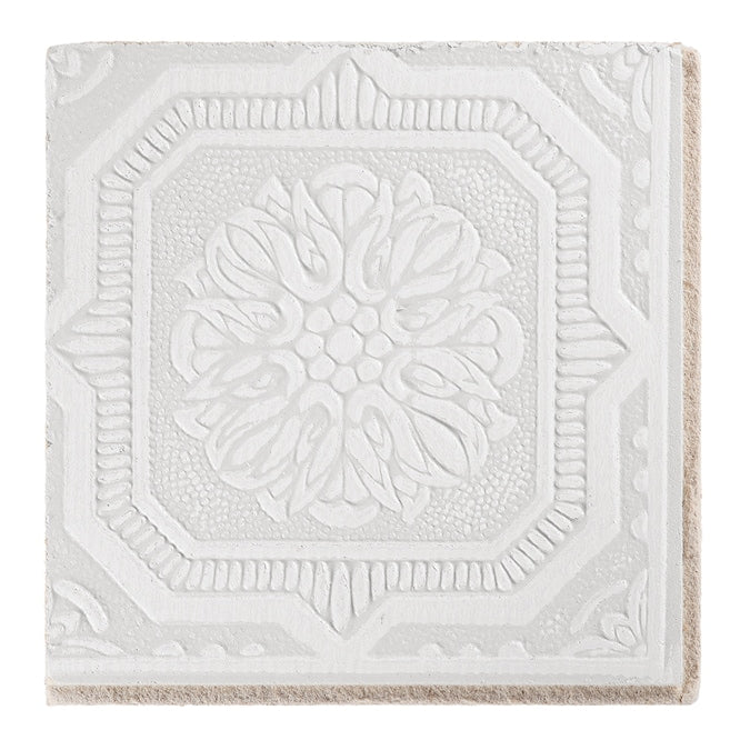 Armstrong Ceilings Wellington White Mineral Fiber Surface-mount Ceiling Tile Sample