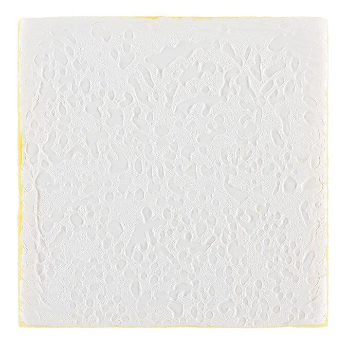 Armstrong Ceilings Espirit White Fiberglass Drop Ceiling Tile Sample