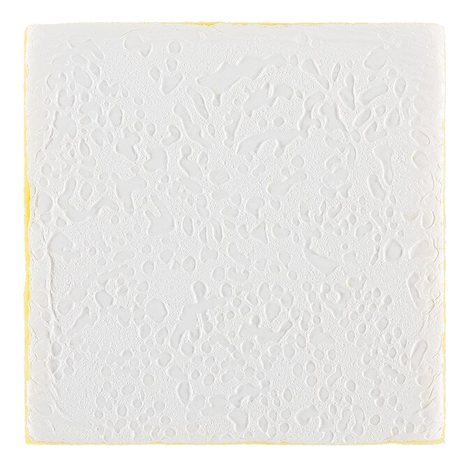 Armstrong Ceilings Espirit White Fiberglass Drop Ceiling Tile Sample