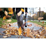 WEN 40V Max Lithium-Ion 124 MPH 480 CFM Cordless Brushless Leaf Blower with 2Ah Battery & Charger