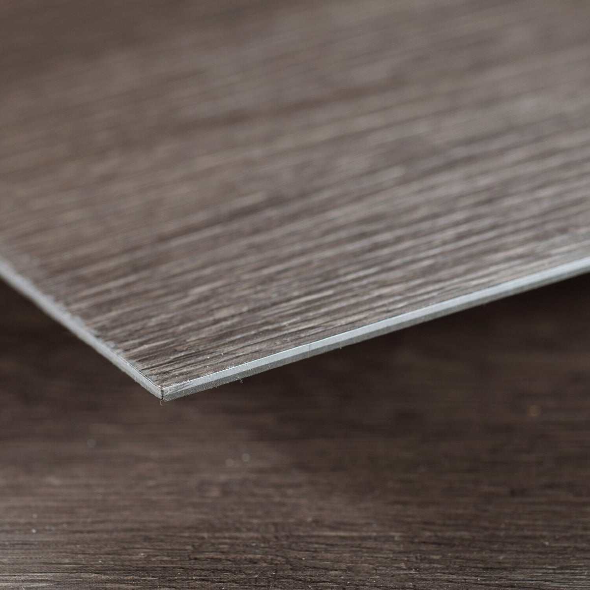 Lucida USA (Sample) Gluecore Ash Gray Wood Look 22-mil Glue Down Luxury Vinyl Plank