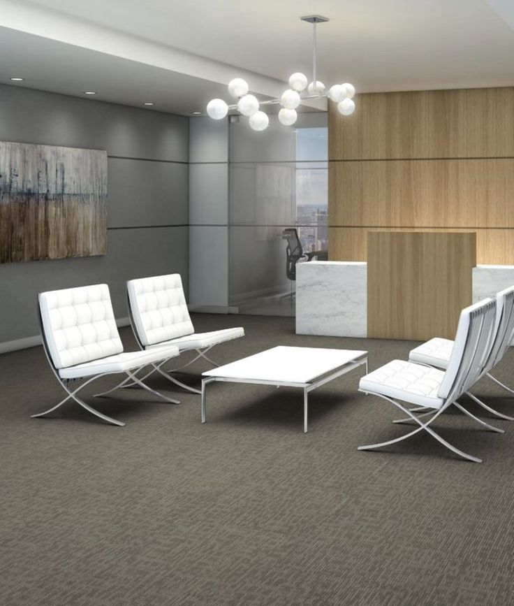 Shaw Whiz Kid 24-in x 24-in Masterful Multi-level Loop Full Spread Adhesive Carpet Tile (48-sq ft)