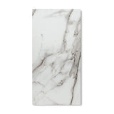 Lucida USA (Sample) Gluecore Whitestone Off-white Stone Look 22-mil Glue Down Luxury Vinyl Plank