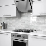Elida Ceramica White 3-in x 12-in Glossy Glass Subway Wall Tile