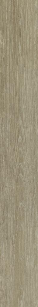 Shaw (Sample) Westwork Cast Brown Wood Look 12-mil Waterproof Glue Down Luxury Vinyl Plank