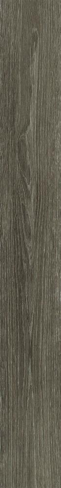 Shaw (Sample) Westwork Baron Brown Wood Look 12-mil Waterproof Glue Down Luxury Vinyl Plank