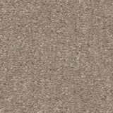 STAINMASTER Essentials Blue Diamonds III 12-ft Minimalist Textured Carpet Sample (Interior)