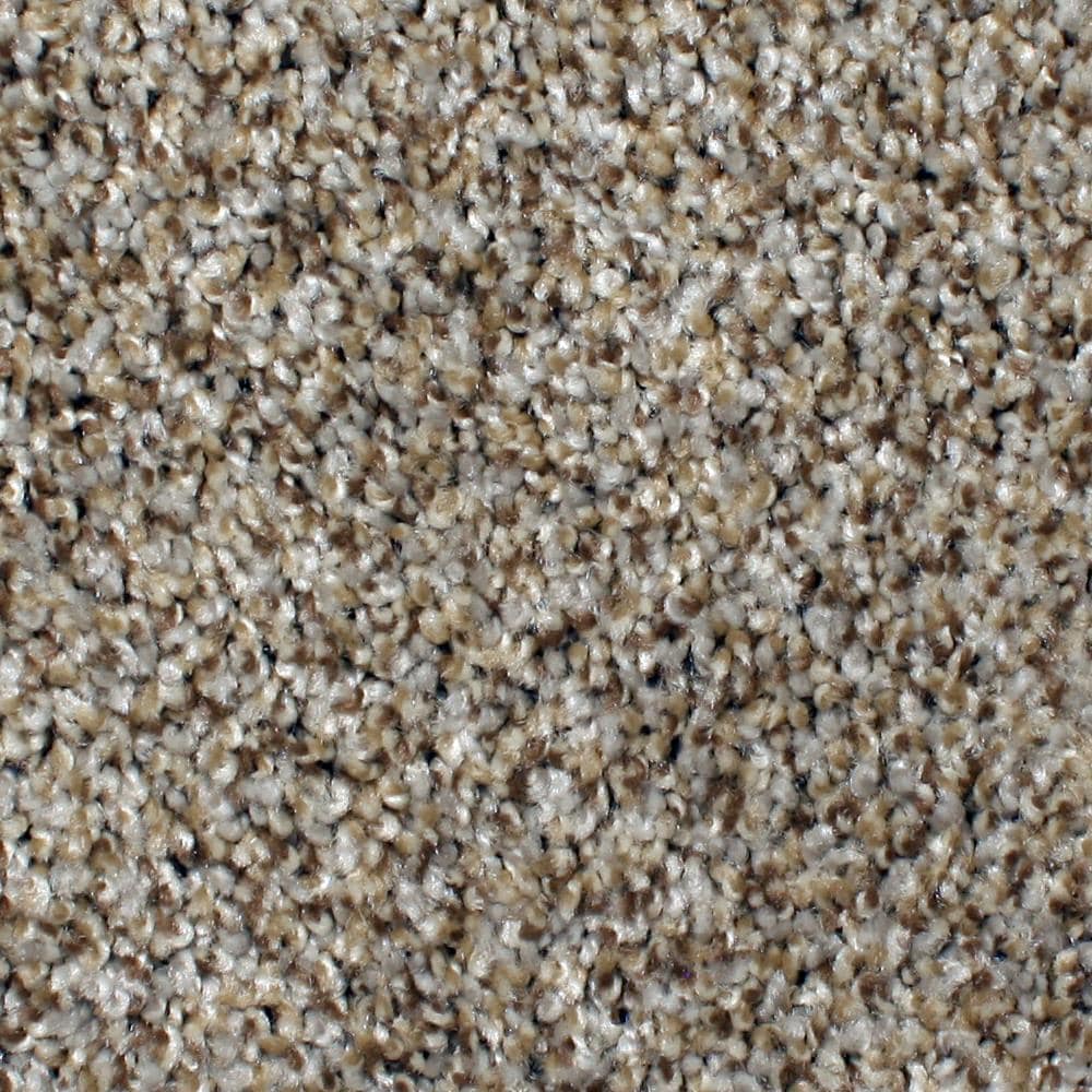 STAINMASTER PetProtect Concord Mystical Charm Textured Indoor Carpet, 12-ft Roll Width, 42-oz Nylon