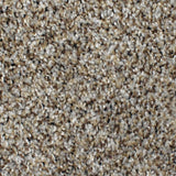 STAINMASTER PetProtect Concord Mystical Charm Textured Indoor Carpet, 12-ft Roll Width, 42-oz Nylon