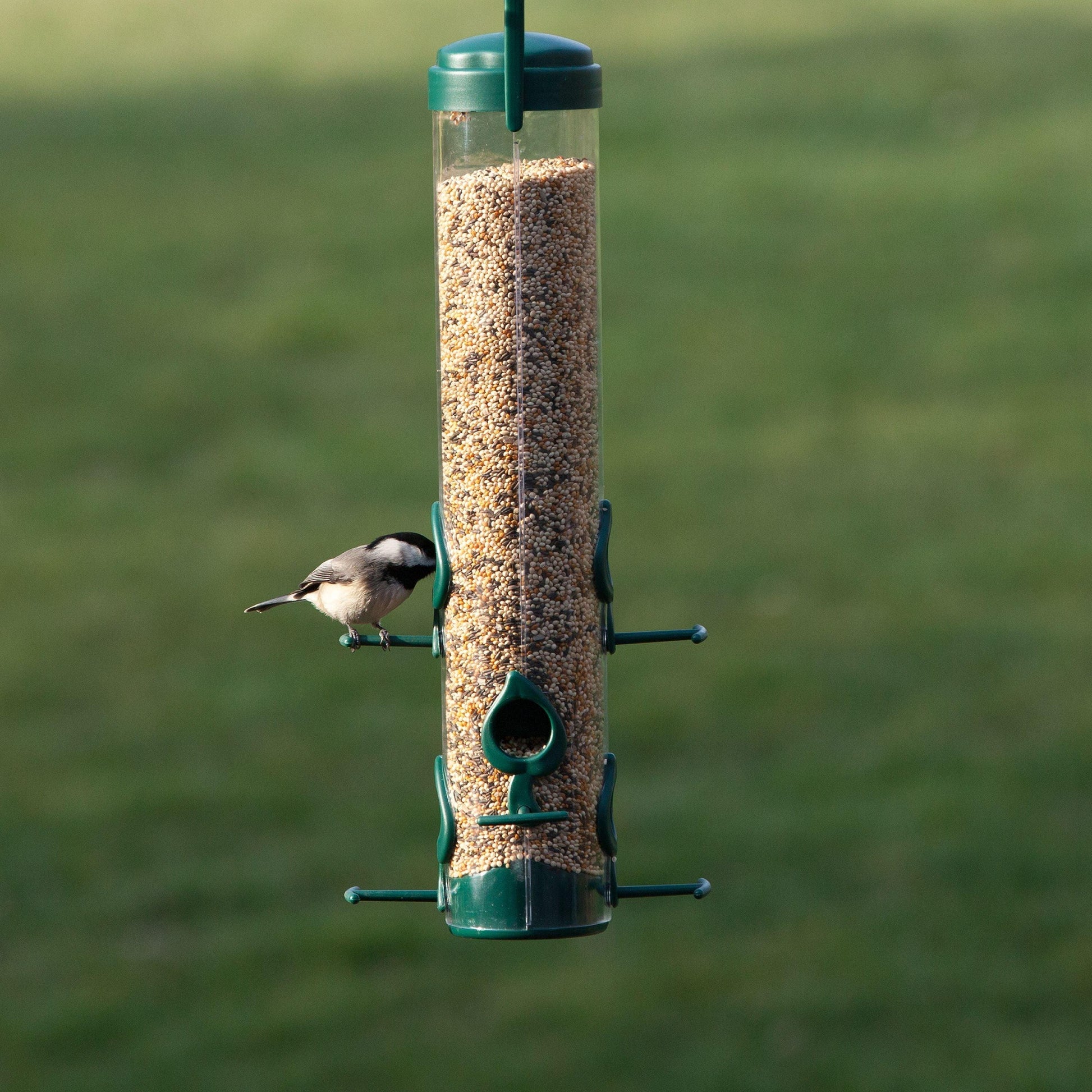 4147a776-04de-4079-bdb4-712c6598758c_3.b2401a54c9a3798899218bd689c937e1_1633945738.jpeg