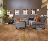 Shaw (Sample) Triad Desert Jewel Brown Wood Look 12-mil Waterproof Glue Down Luxury Vinyl Plank