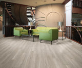 Shaw (Sample) Triad Timberwolf Gray Wood Look 12-mil Waterproof Glue Down Luxury Vinyl Plank