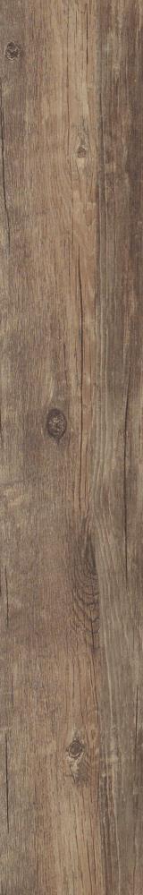 Shaw Perennial Spur Brown 6-mil x 6-in W x 48-in L Waterproof Glue Down Luxury Vinyl Plank Flooring (53.93-sq ft/ Carton)