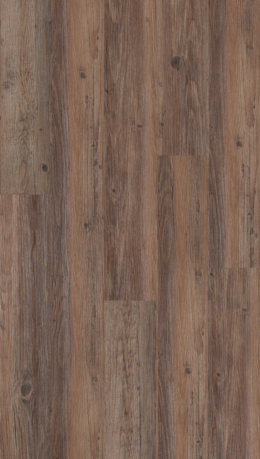 Shaw Farmers Market 6 mil Farmland 6-in Wide x 2-mm Thick Waterproof Luxury Vinyl Plank Flooring (53.93-sq ft)