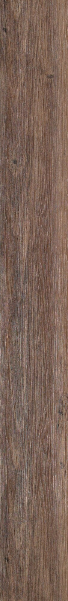 Shaw Farmers Market 6 mil Homegrown 6-in Wide x 2-mm Thick Waterproof Luxury Vinyl Plank Flooring (53.93-sq ft)