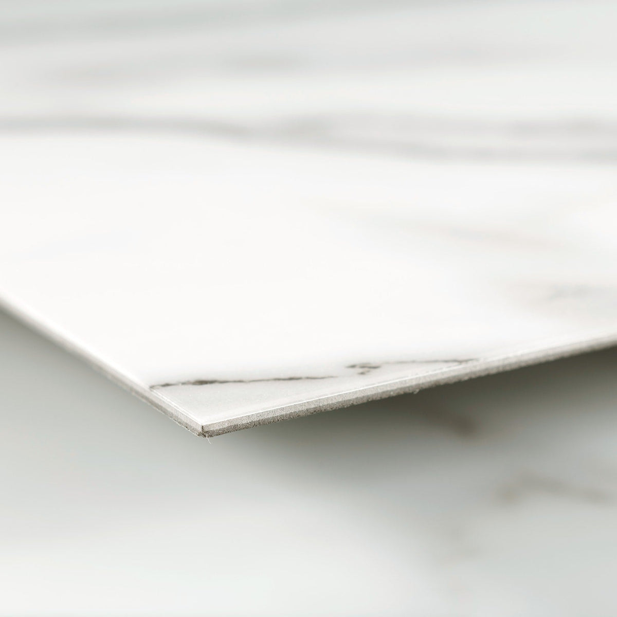 Lucida USA (Sample) Gluecore Whitestone Off-white Stone Look 22-mil Glue Down Luxury Vinyl Plank