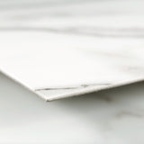 Lucida USA (Sample) Gluecore Whitestone Off-white Stone Look 22-mil Glue Down Luxury Vinyl Plank