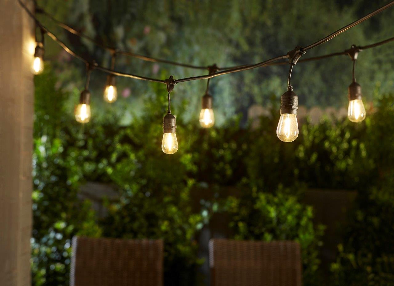 Portfolio 24-ft 12-Light Plug-In LED Edison Bulbs String Lights (Black)