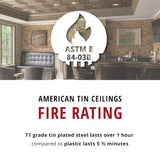 Made in the USA American Tin Ceilings 2-ft x 2-ft Unfinished Steel Surface-mount Ceiling Tile (5-Pack, 20-sq ft / Case)